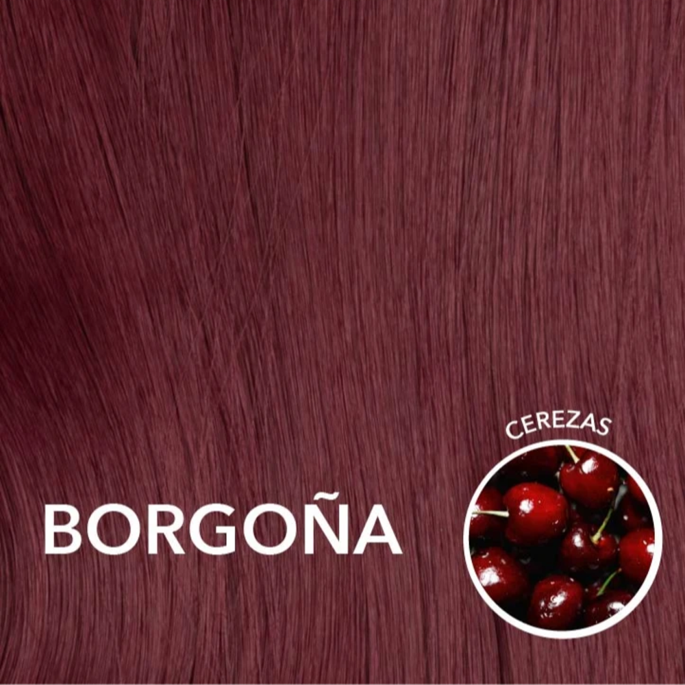 #color_Colección Olimpo - Borgoña