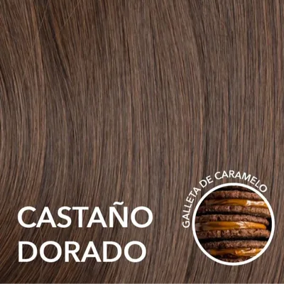 #color_Colección Olimpo - Castaño Dorado