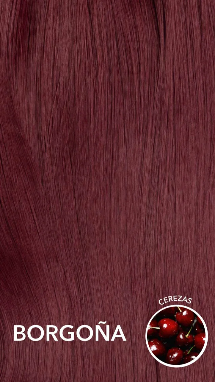 Extensiones MIMOSA20”