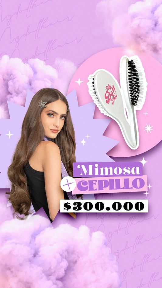 Mimosa + Cepillo